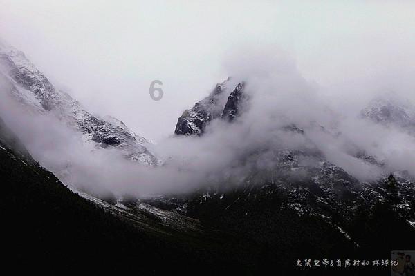 空气炸锅和烤箱哪个实用一些?-专业有问必答平台